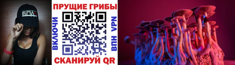 Галлюциногенные грибы Psilocybine cubensis  OMG онион  Анадырь  цена наркотик 